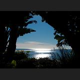 Thanksgiving in California